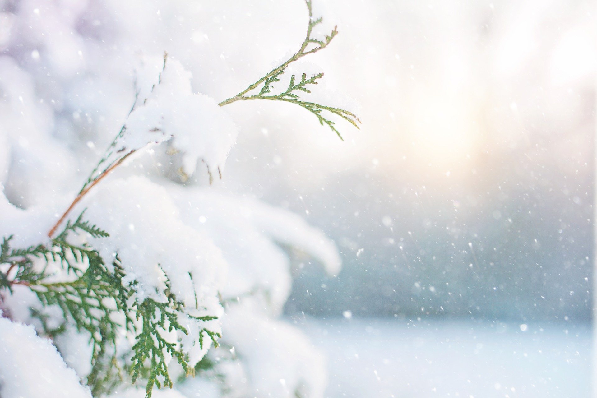 www/img/categories/251_hiver.jpg