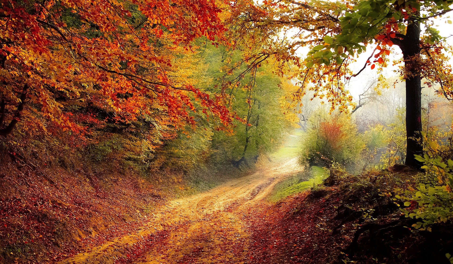 www/img/categories/804_automne.jpg